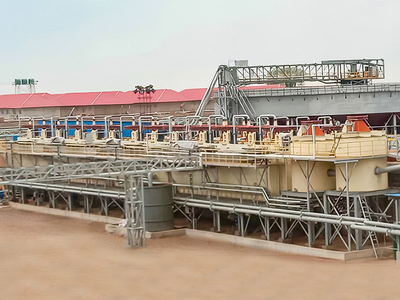 Zimbabwe Lepidolite 3000T/D Projekt minerálnych spracovávania - Zhejiang Dingsen Holding Co., Ltd.